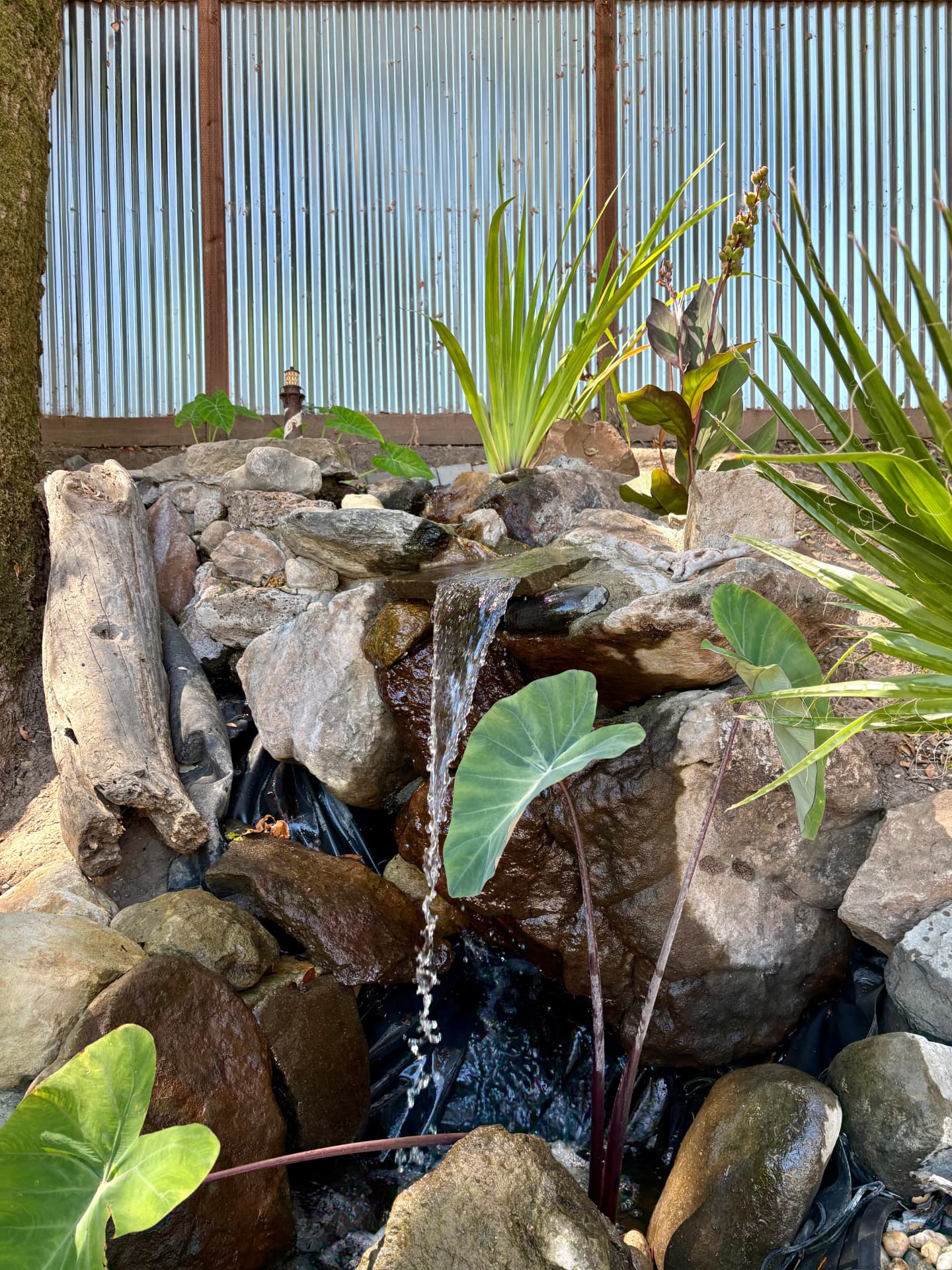 Waterfall framed by tropical plantings and river rock